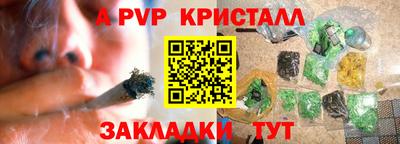 шишки Балашиха