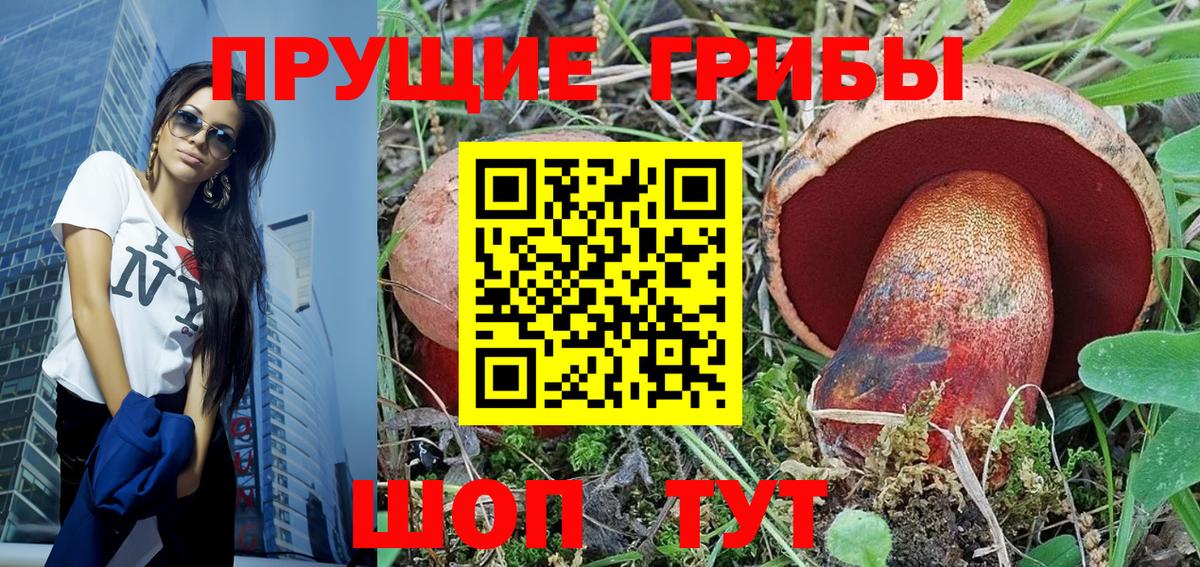 купить наркотик  Вход с VPN  Братск  Псилоцибиновые грибы мицелий 