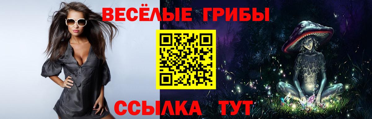 Галлюциногенные грибы GOLDEN TEACHER  Братск  Галлюциногенные грибы MAGIC MUSHROOMS 